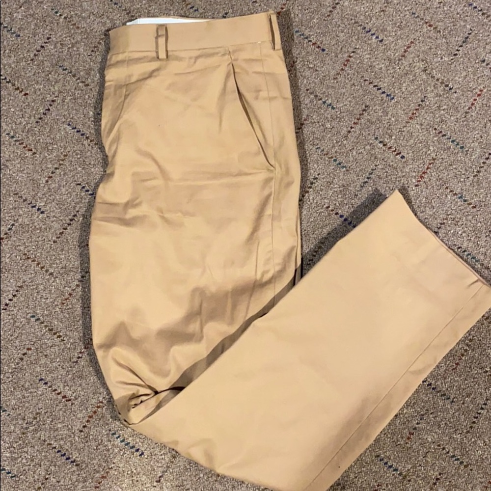 Express Dress Pants